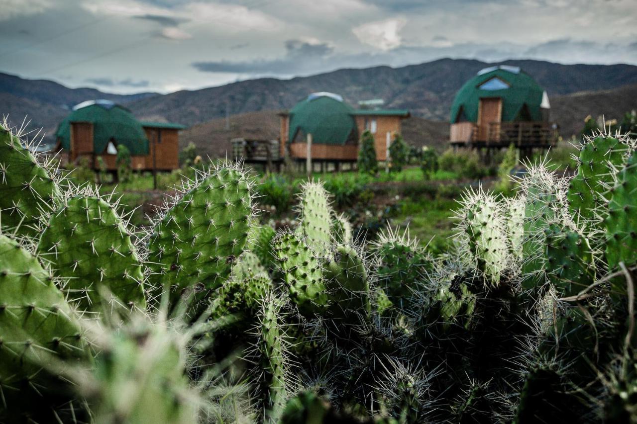 Los Nopales Glamping Sáchica Exteriér fotografie