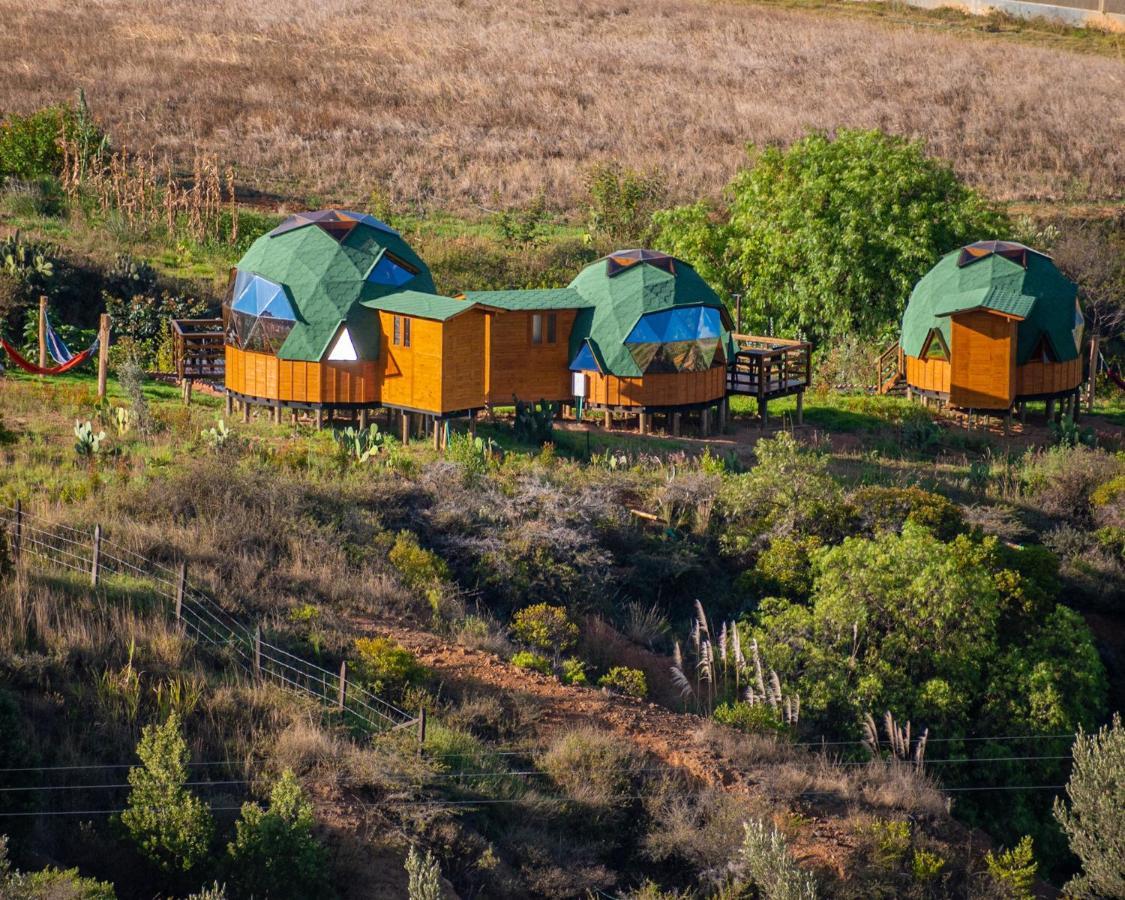 Los Nopales Glamping Sáchica Exteriér fotografie