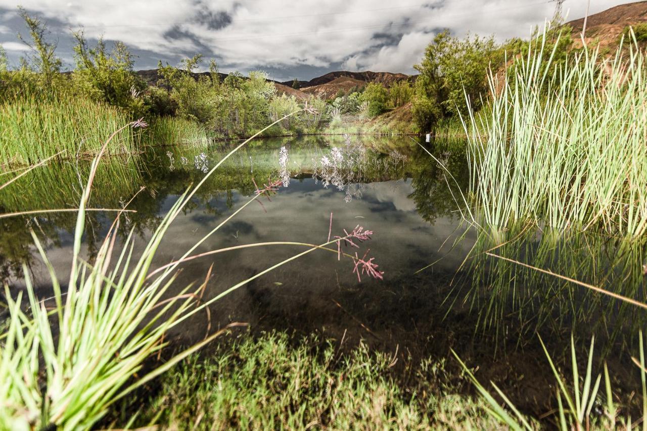 Los Nopales Glamping Sáchica Exteriér fotografie