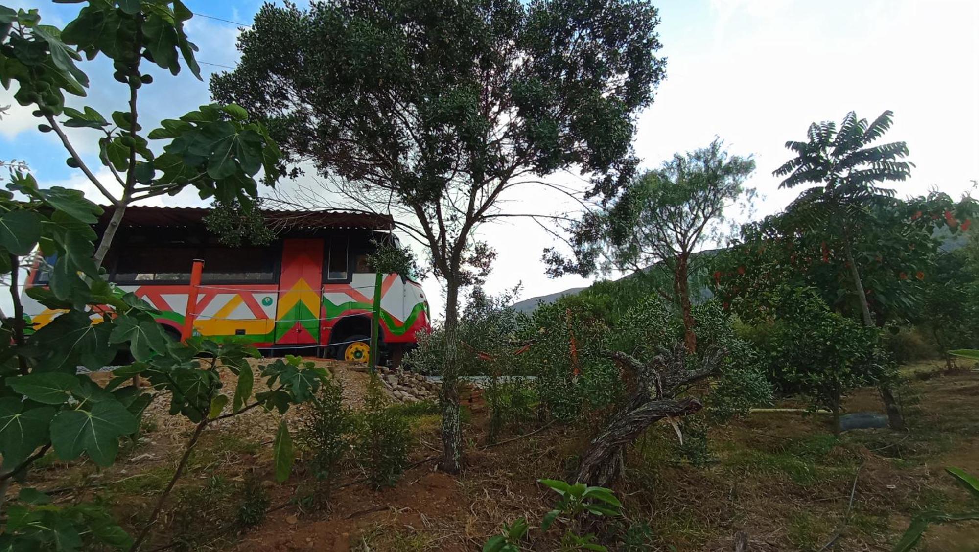 Los Nopales Glamping Sáchica Exteriér fotografie