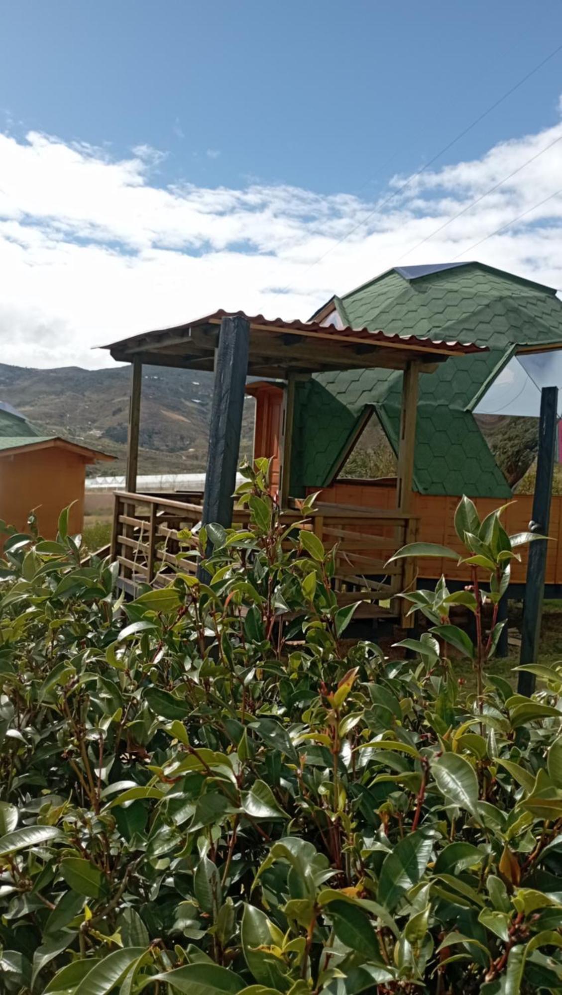 Los Nopales Glamping Sáchica Exteriér fotografie